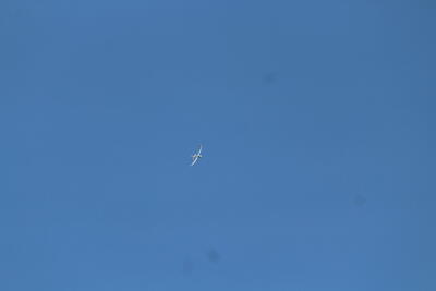 IMG 1475